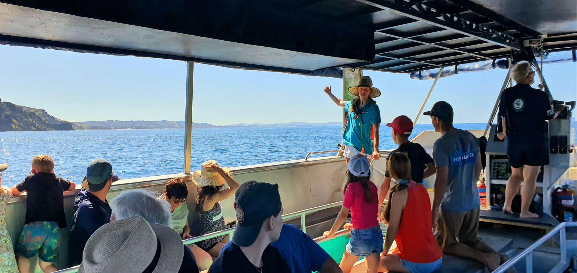Boat tour Auckland at Goat Island viewing marine life